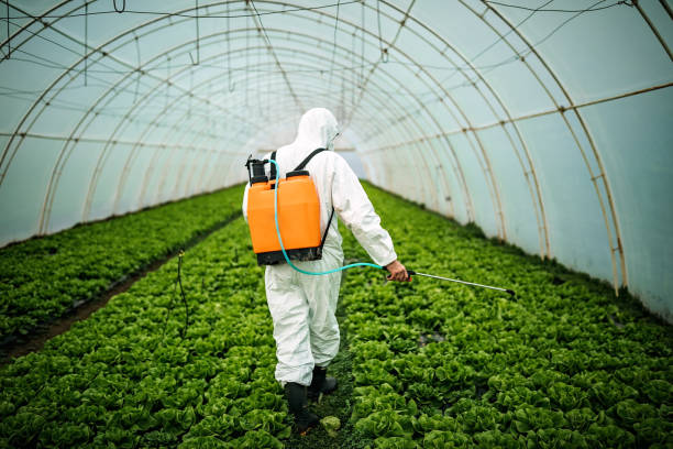 Best Commercial Pest Control Services  in Pine Bush, NY