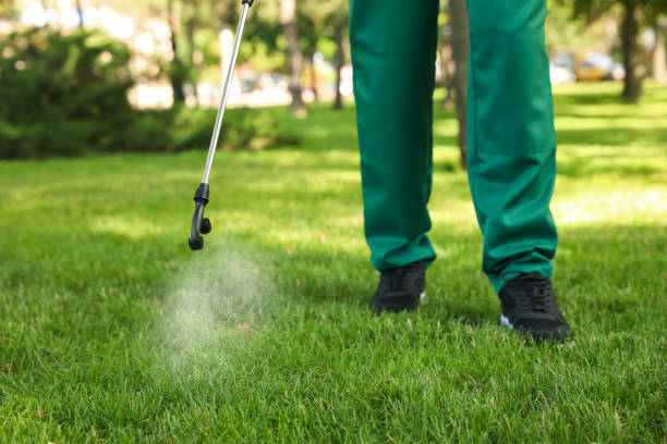 Best Affordable Pest Control Services  in Pine Bush, NY