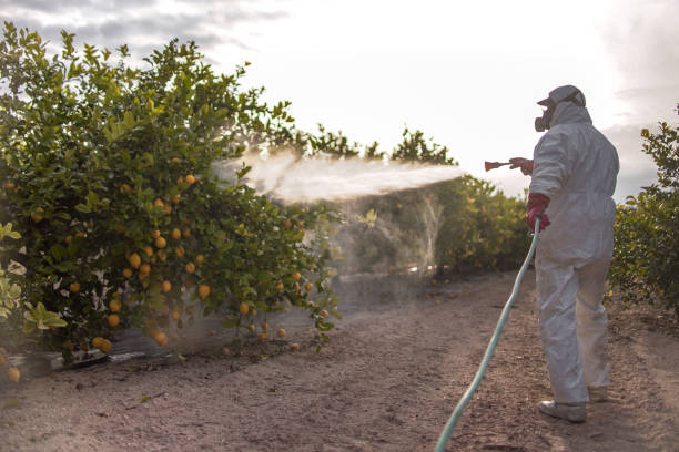 Best Local Pest Control Services  in Pine Bush, NY