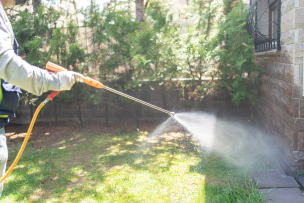 Best Termite Control Services  in Pine Bush, NY