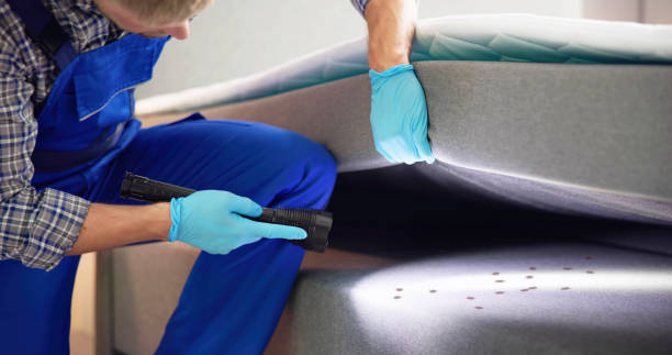 Best Pest Removal Services  in Pine Bush, NY