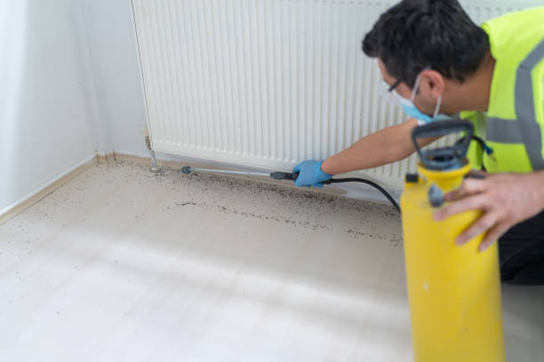 Best Ant Control Services  in Pine Bush, NY