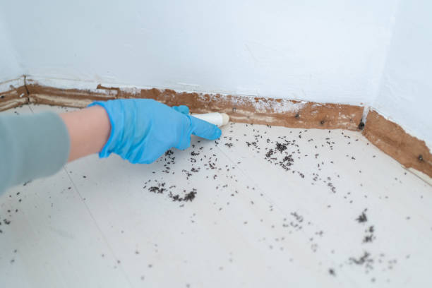 Best Residential Pest Control  in Pine Bush, NY